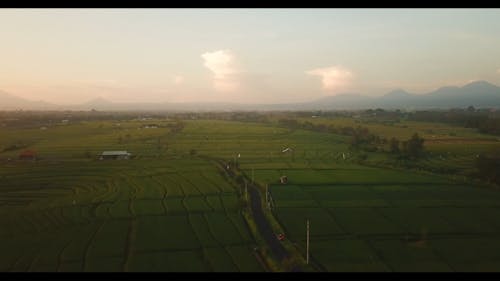 Drone Footage of a Farm Land