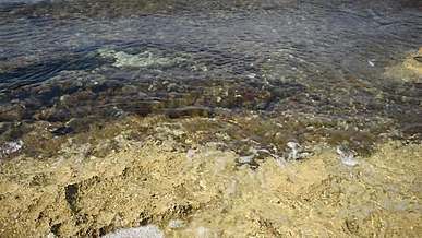 sea waves crashing on rocky shore
