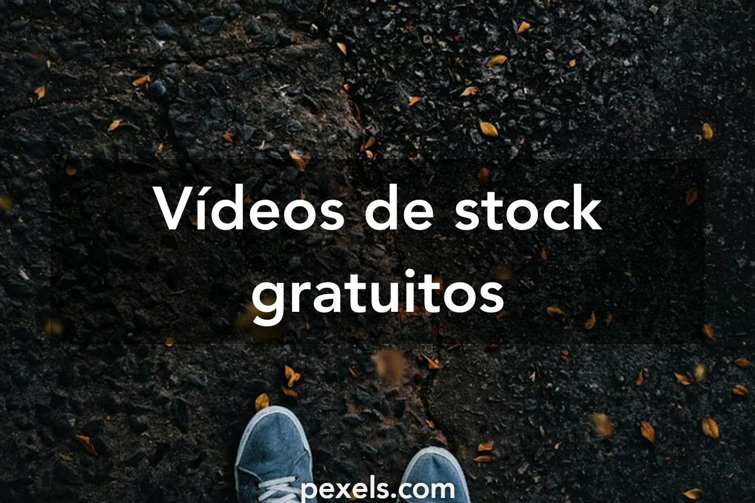 Polémico Prosperar administración Los mejores 2000+ vídeos de Zapatos · Banco de Imágenes Gratis · Vídeos de  archivo de Pexels