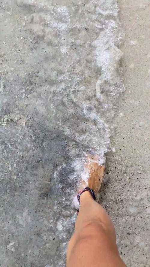 Video Of Person Walking On Seashore Barefoot