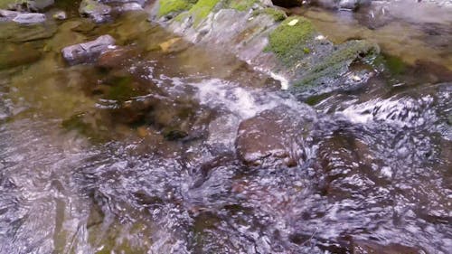 Video Of River Water Streaming On Rocks