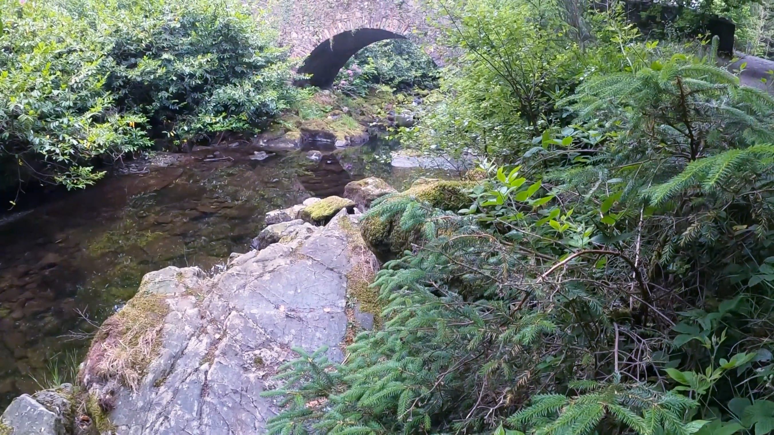 Video Of Stone Bridge On A Forest · Free Stock Video