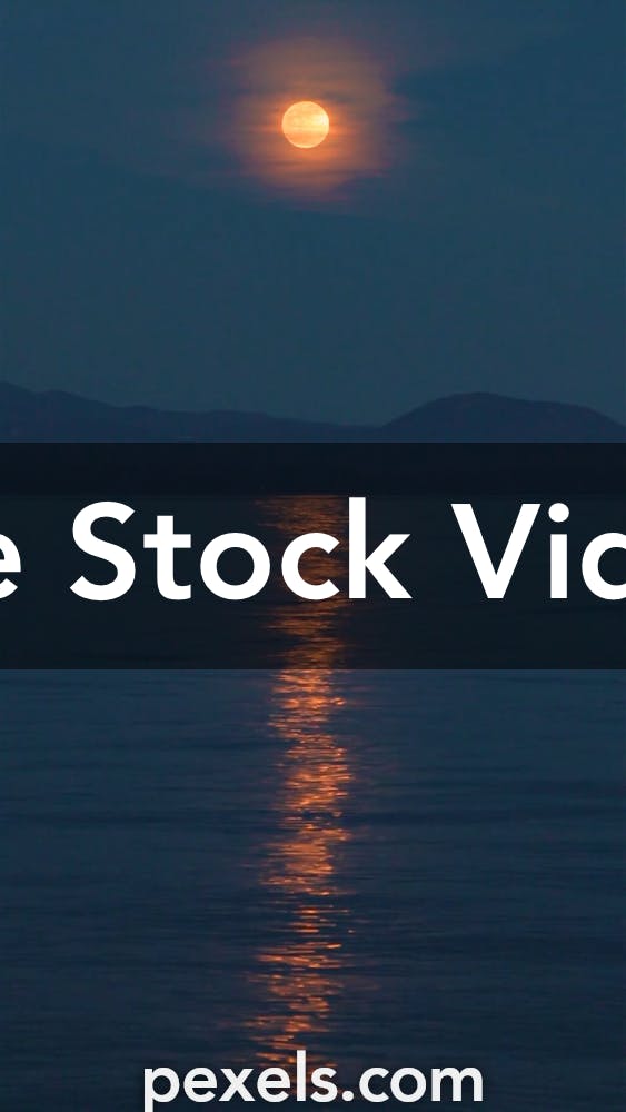 Vertical Videos, Download The BEST Free 4k Stock Video Footage