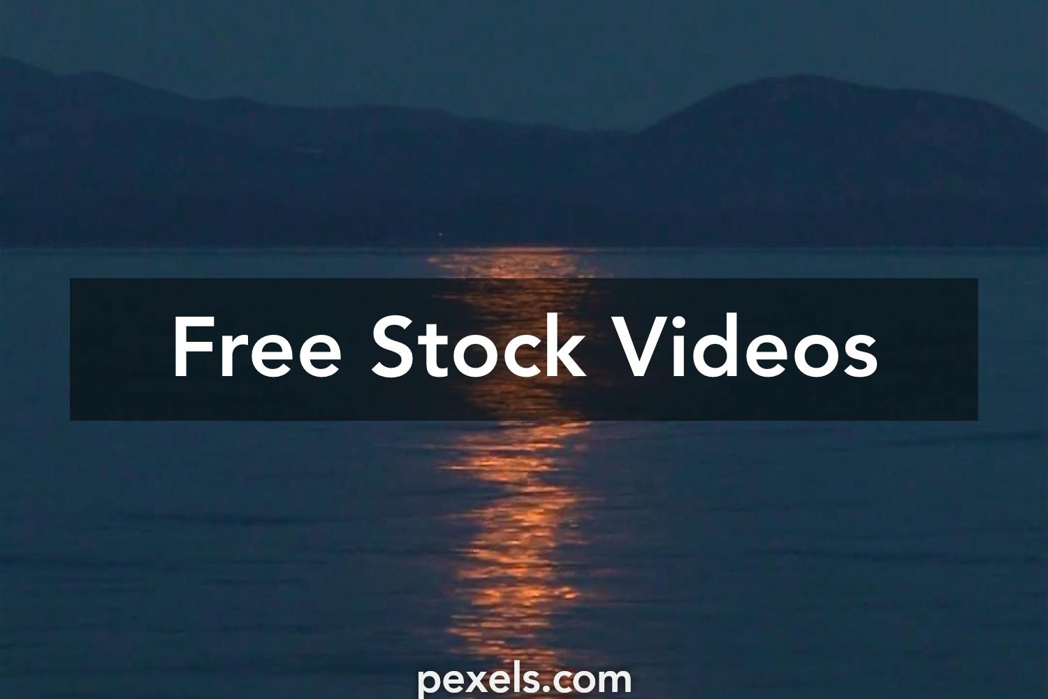 Vertical Video Videos: Download 1,102+ Free 4K & HD Stock Footage Clips -  Pixabay