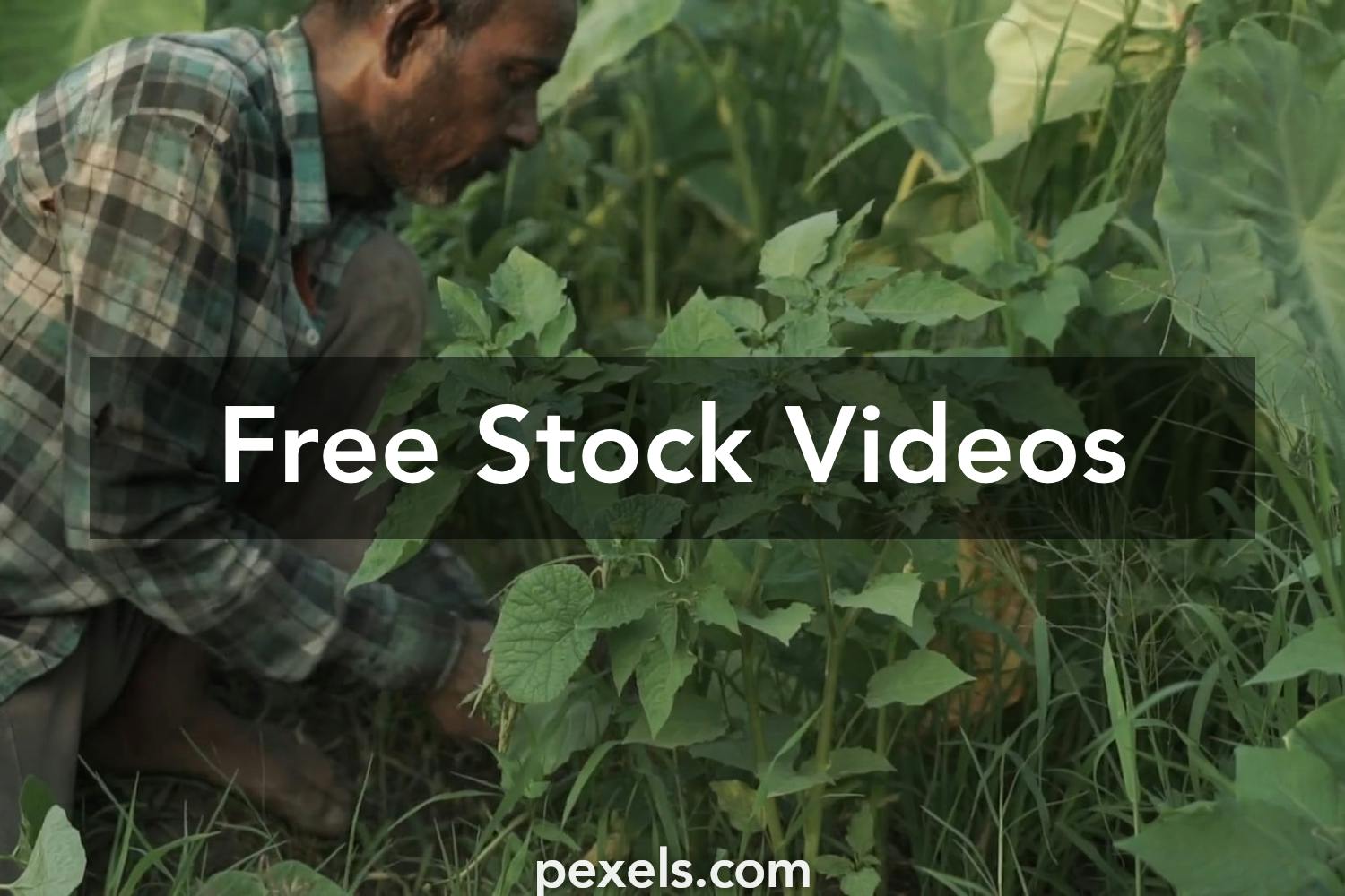 Old Farming Phothos Videos, Download The BEST Free 4k Stock Video ...