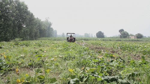 Man Driving A Tractor In A Farmland