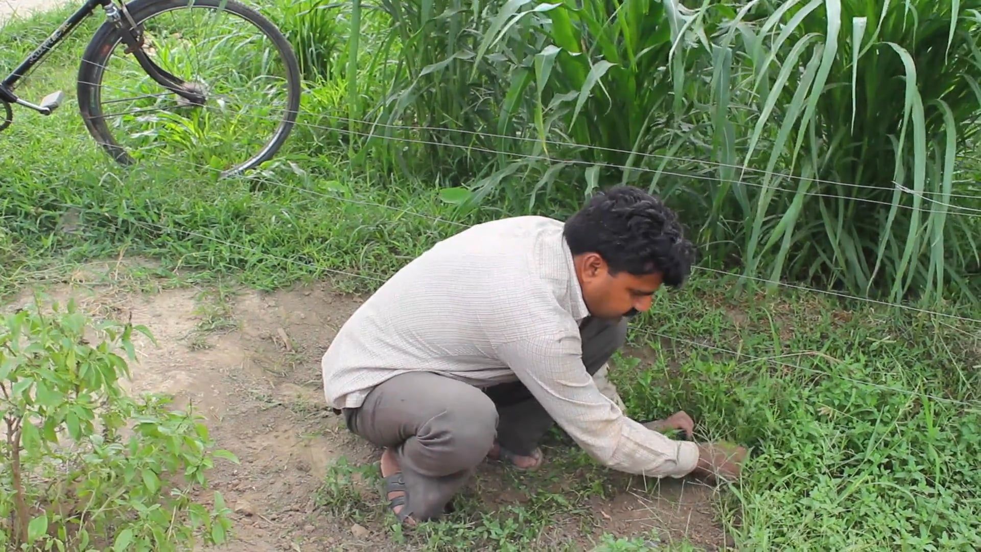 Man Cutting Of Wild Grass On A Farmland Free Stock Video Footage ...