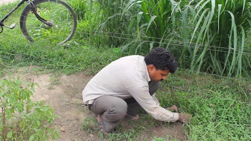 Man Cutting Of Wild Grass On A Farmland