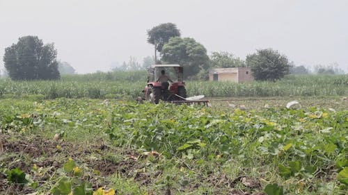 Man Driving A Tractor Cultivating A Cropland