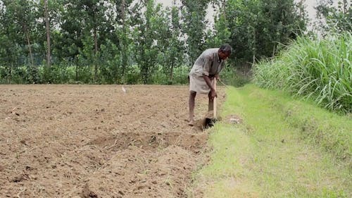 Man Cultivating The Soil Of A Farmland