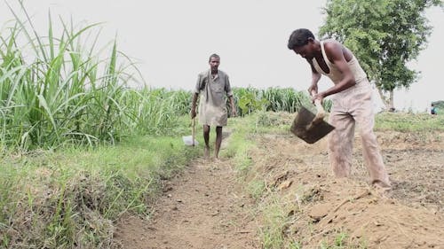 Two Men Cultivating The Land And Making Plots