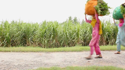 Women Carrying a Bag While Walkingth Carrying a Bag