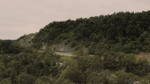 Aerial View Of Green Woods On Mountains