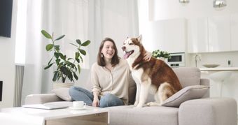 人和宠物视频素材高清视频视频素材