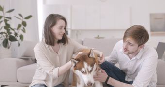 人和宠物视频素材视频素材