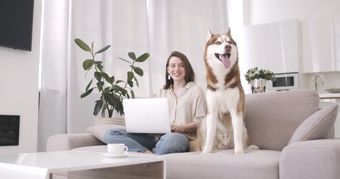 人和宠物视频素材视频素材