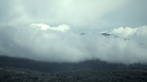 Low And Thick Clouds Above A Mountain And Forest