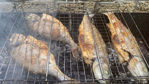 Video Of Fishes Being Grilled 