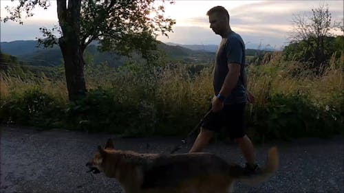 Man Walking with His Dog at the  Countryside