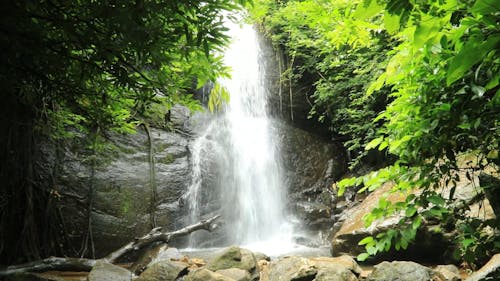 Video Of Waterfalls During Daytime