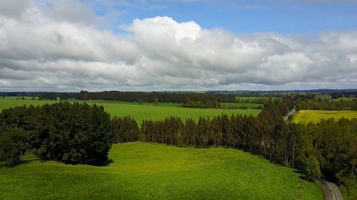 Drone Footage of a Meadow