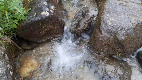 Video Of Shallow River Flowing Through Be Of Rocks