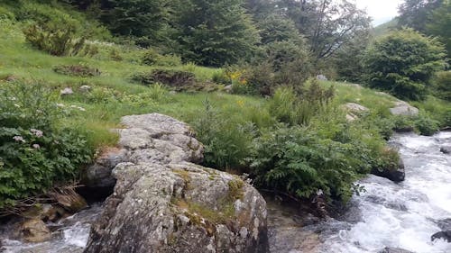 Video Of River Stream Flowing Through Rock Formations