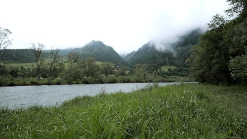 Mountains Covered With Fog