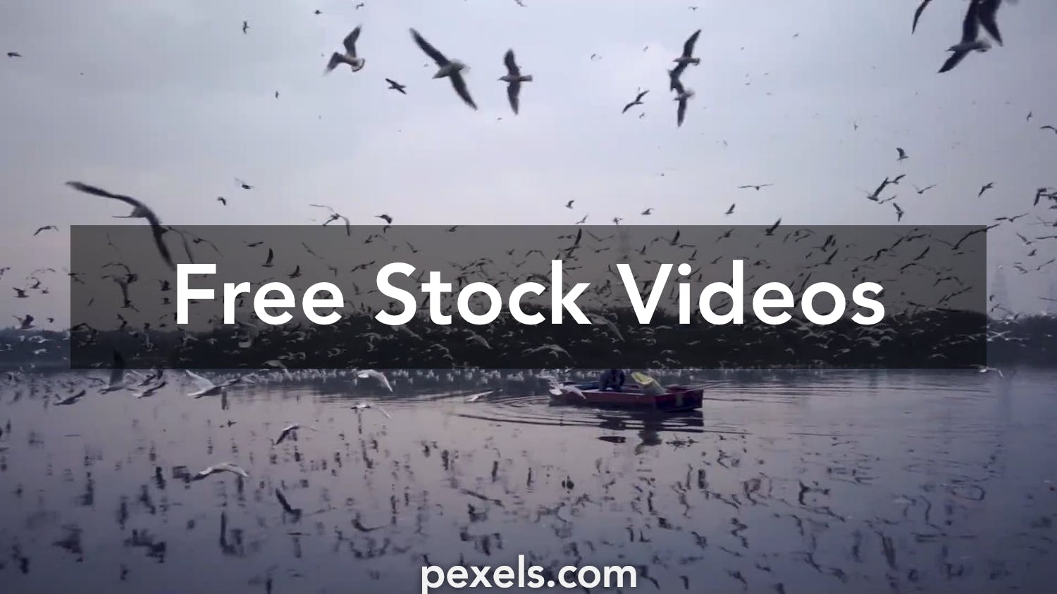 Free No Copyright Videos, Download The BEST Free 4k Stock Video Footage &  Free No Copyright HD Video Clips