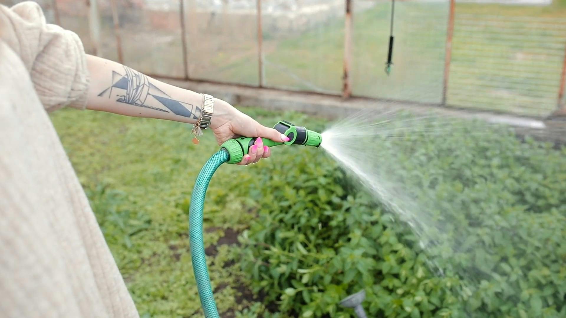 Khám phá Thế giới Giải trí Trực đường cùng cực kỳ cách bán nhà nhanh nhất - Hướng dẫn & Kinh nghiệm