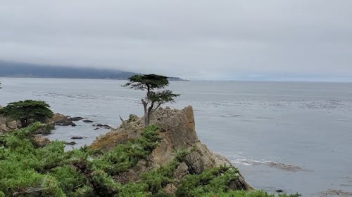 Beach View With A Foggy Horizon