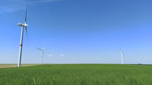 Wind Turbines on a Field