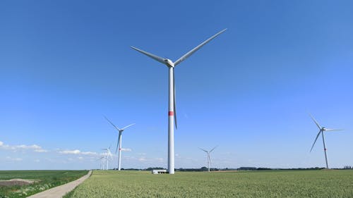 Wind Turbines on a Field