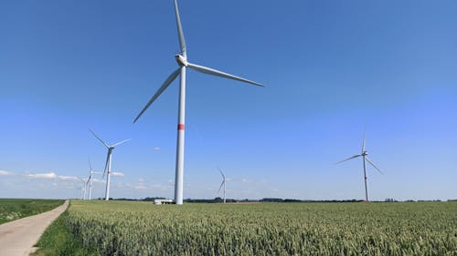 Wind Turbines on a Field