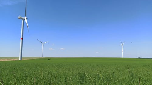 Wind Turbines on a Field