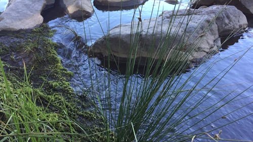 A Flowing Stream