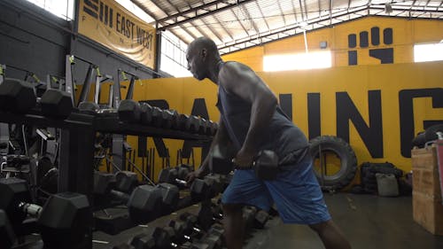 51 500+ Musculation Homme – Vidéos libres de droit 4K et HD
