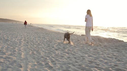 Woman Walking on the Beach with Her Dog