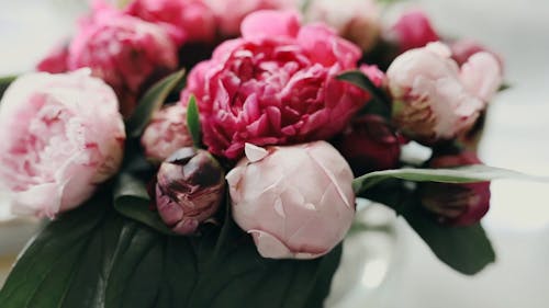 Close Up View of a Beautiful Flowers Bouquet