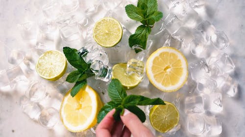 Flat Lay Video Of Sliced Lemons On Top Of Ice