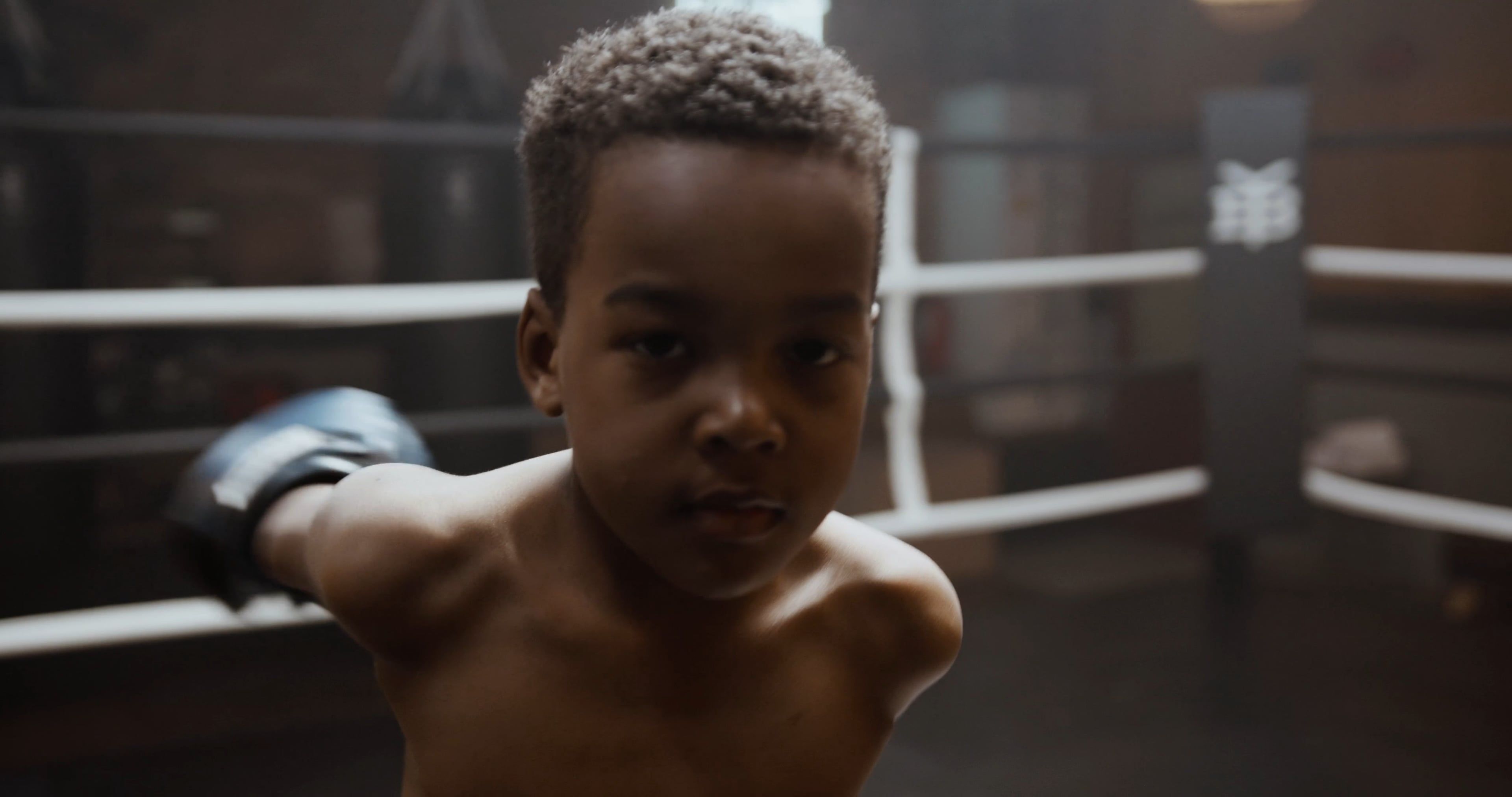 Boxing Perseverance Videos, Download The BEST Free 4k Stock Video ...