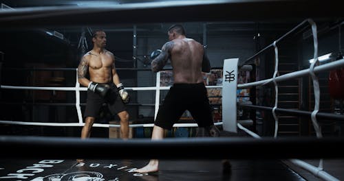 Two Men Showing Sportsmanship In Sparring