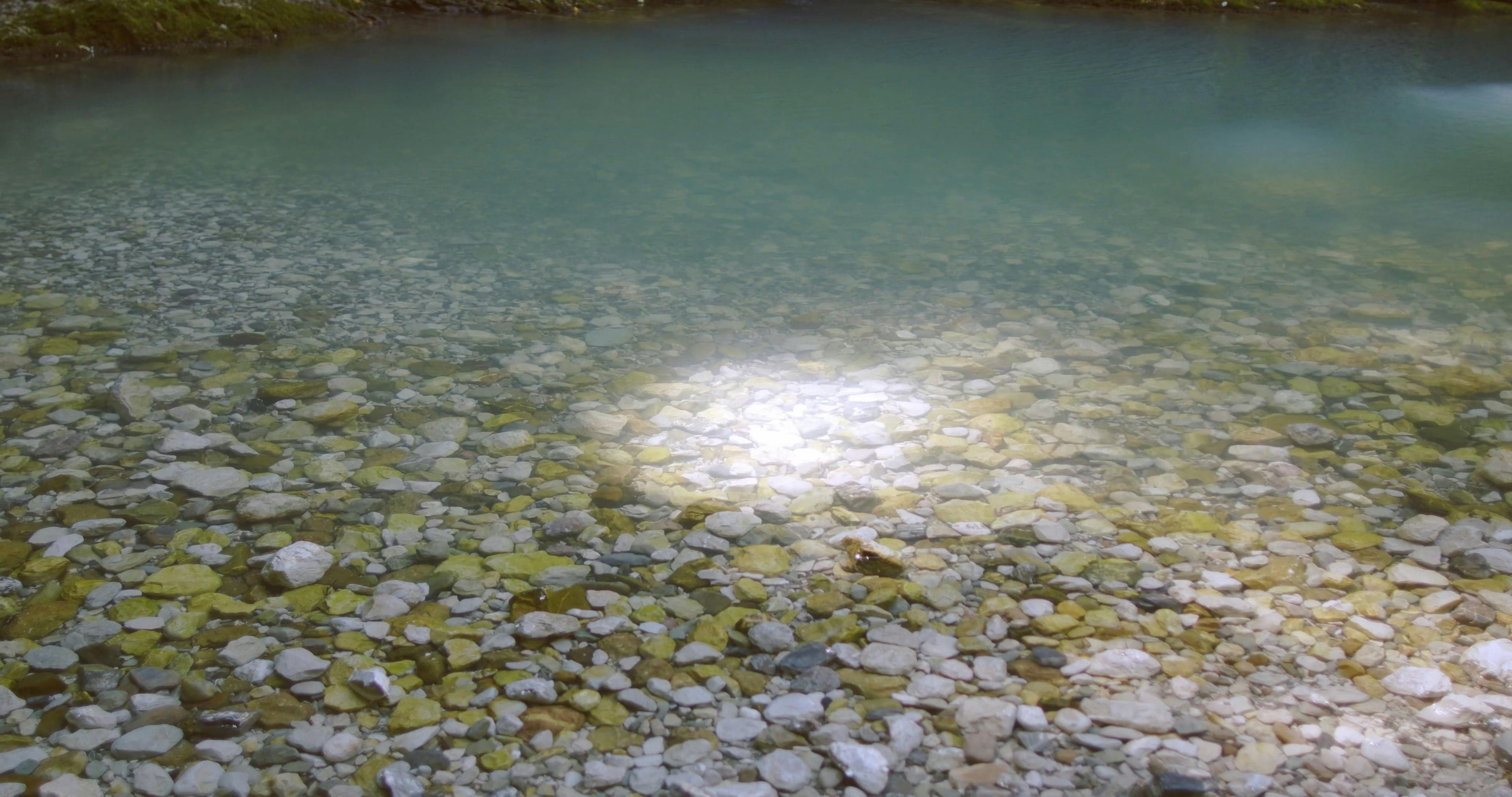 Video by Yaroslav Shuraev