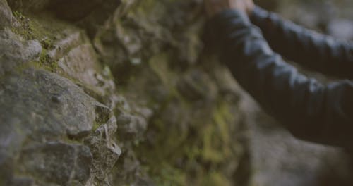 Video Of Woman Touching The Mossy Rocks