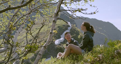 Video Of People Resting Under A Tree