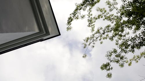 Rotating Shot Of The Sky From Below