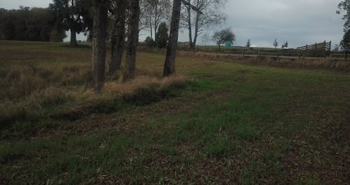 Drone Flying Over A Grass Field