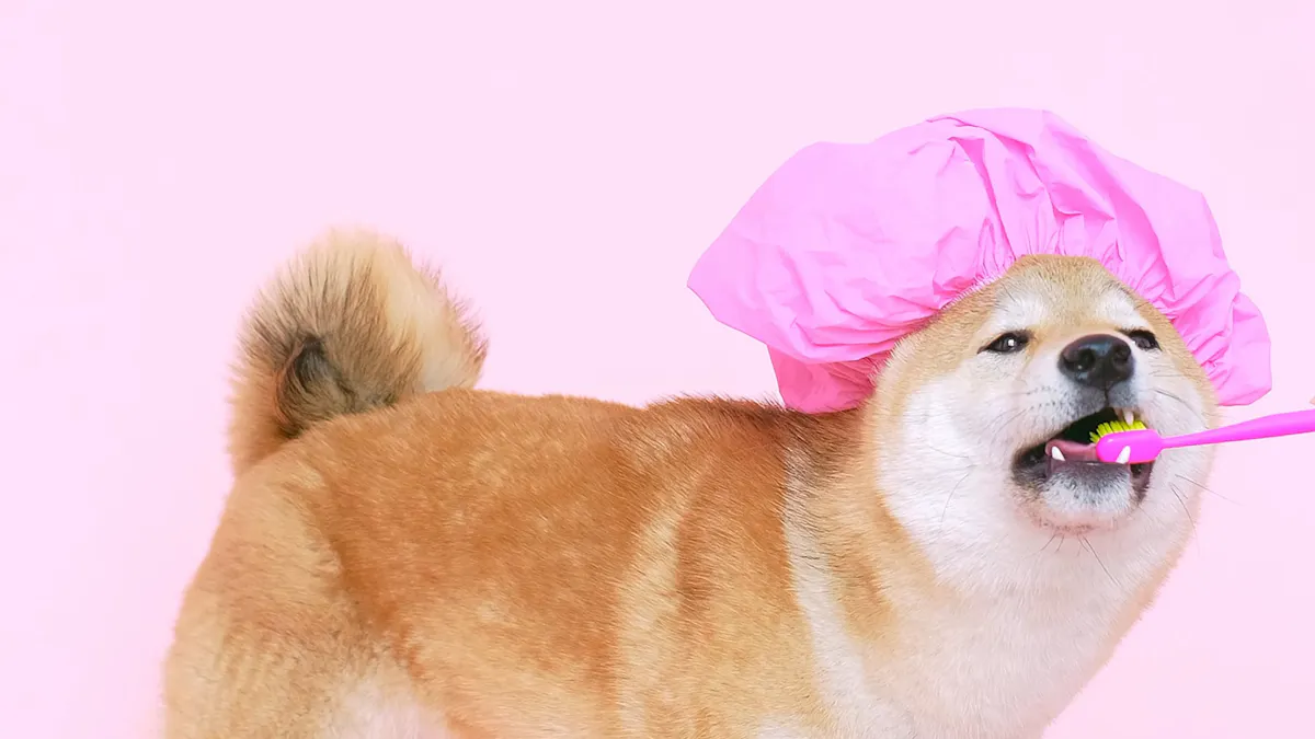 Laugh Out Loud: Hilarious INDL vs RSAL Highlights Comedy Video