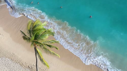 Sea Waves Kissing The Beach Shore