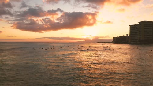 Surfers Waiting For Sea Waves To Ride